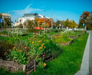 Почти 400 тысяч ярких цветов украсят весной Варшаву