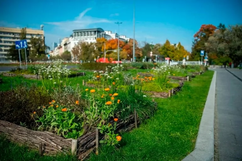 Почти 400 тысяч ярких цветов украсят весной Варшаву